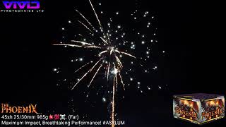 ✨️NEW 2024✨️ PHOENIX Maximum Impact Breathtaking Performance fireworks vividpyrotechnics [upl. by Asirrak]