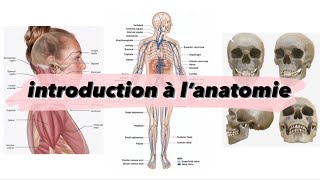 Cours 1  Introduction à l’anatomie شرح بالدارجة [upl. by Myca876]