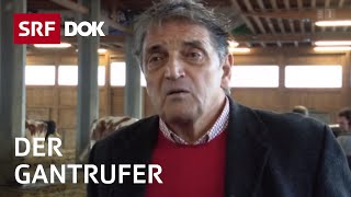 Alois Wyss – der ProfiGantrufer  Landwirtschaftliche Steigerung  Reportage  SRF [upl. by Fair584]