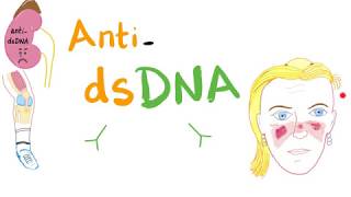 Antidouble Stranded DNA AntidsDNA Antibodies  Systemic Lupus Erythematosus SLE [upl. by Nibas]