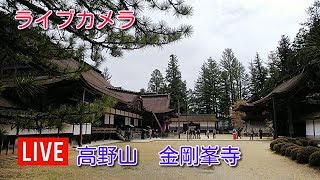 ライブカメラ 高野山 金剛峯寺 [upl. by Noraed]