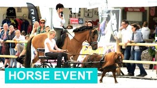 VLOG 6 Horse Event 2015  felinehoi [upl. by Thorne]