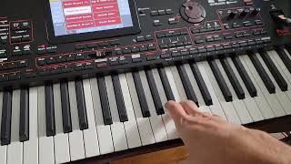 KORG PA4X OVERVIEW AND REVIEW FIRST IMPRESSION Buttons Style Demos [upl. by Festatus36]