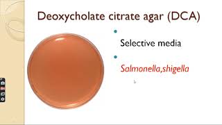 Selective media  Transport media  Differential media  Anaerobic media in hindi [upl. by Stanly]