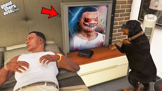 Chop Found Secret Mirror Inside Franklins Room In Gta 5 [upl. by Ailsun]