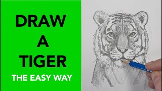 How to Draw a Tiger Running [upl. by Leavitt]