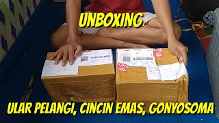 UNBOXING 5 ULAR MURAH BERKUALITAS [upl. by Eyllom]