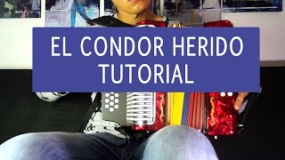 EL CONDOR HERIDO  Diomedez Diaz  Tutorial de Acordeon completo [upl. by Anirehtac]