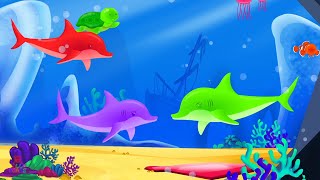 We Are The Dolphins Nursery Songs for Preschool Kids by Jelly Bears [upl. by Athene522]