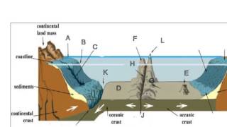 Ocean Floor Topography [upl. by Hoi]