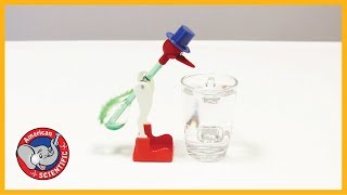 STEM Product  Drinking Bird [upl. by Ytsanyd227]