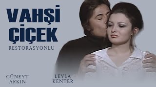 Vahşi Çiçek Türk Filmi  Restorasyonlu  CÜNEYT ARKIN  LEYLA KENTER [upl. by Suirauqed692]