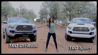 Why I Bought the TRD OffRoad over the TRD Sport  3rd Gen Tacoma Battle [upl. by Tandie]