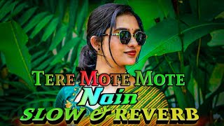 Tere Mote Mote Nain  Ghum Ghagre Wali  slow amp reverb [upl. by Ecinuahs]