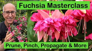 FUCHSIA MASTERCLASS – HOW TO GROW PRUNE amp PROPAGATE PLUS FUCHSIA VARIETY GUIDE [upl. by Sicard]