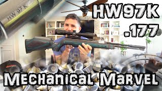 Weihrauch HW 97K 177 Air Rifle Review  SETUP GUIDE   Accuracy Test   Under Lever Airgun [upl. by Eloise]