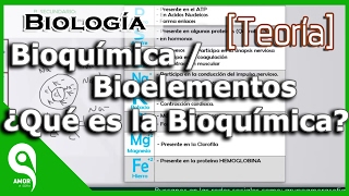 Biología  Bioquímica  Bioelementos ¿Qué es la Bioquímica 14 [upl. by Nedda]