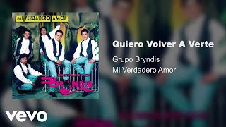 Grupo Bryndis  Quiero Volver A Verte Audio [upl. by Arbmik]