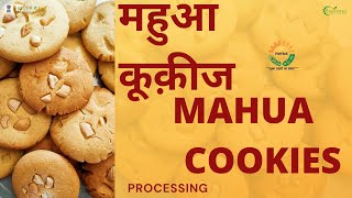 MAHUA COOKIES I महुआ कूक़ीज I NIFTEM PMFME SCHEME [upl. by Pier]