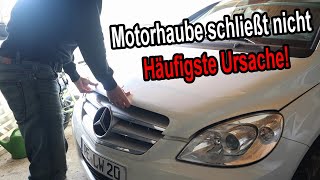 Motorhaube schließt nicht  Ursache amp Lösung [upl. by Mcginnis387]