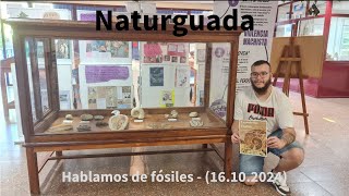 Un dientes de sable y otros fósiles de Guadalajara en el estudio  Naturguada [upl. by Lord]