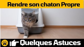 Comment Apprendre la Propreté à son Chaton 👉 Voici quelques astuces [upl. by Filiano]