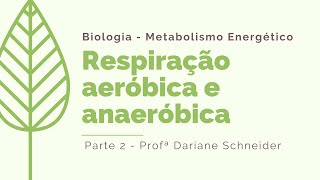 Respiração aeróbica e anaeróbica [upl. by Swamy]