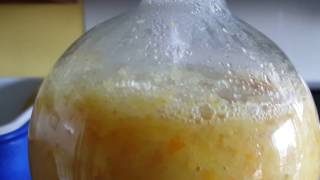 Chemistry extracting limonene oil part 1 [upl. by Llehcim]