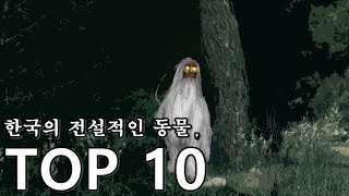 한국 신화속 전설적인 동물 TOP10 [upl. by Gruchot]