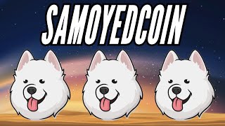 SAMOYEDCOIN UPDATE 🔥 1 BILLION MARKET CAP SOLANA GEM 🚀 HAVE WE BOTTOMED 🔥 SLEEPER COIN 🐶 [upl. by Cohn635]