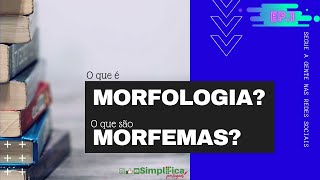 Episódio 1 O que é morfologia e o que são morfemas [upl. by Nytsrik]