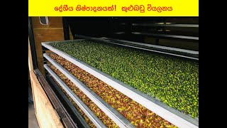 SPICE DRYER  දේශීය නිෂ්පාදනයක්  කුළුබඩු වියලනය [upl. by Pulchia]