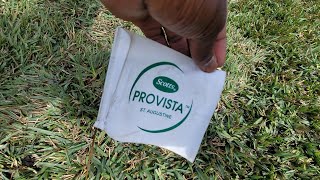 How to Install The Perfect Lawn with Scotts Provista St Augustine Sod Before and After👀 [upl. by Loomis150]