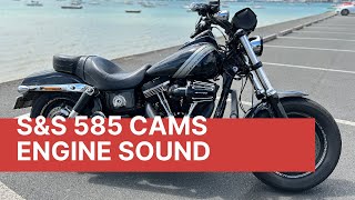 HarleyDavidson Dyna 103 With SampS 585 Cams  Engine Sound [upl. by Lezah]