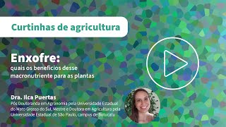 Enxofre conheça os benefícios desse macronutriente para as plantas [upl. by Constancia]