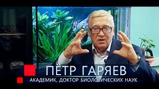 Гаряев Пётр Петрович Интервью о волновой генетике на канале ТВ ЭКСТРА [upl. by Jeramey]