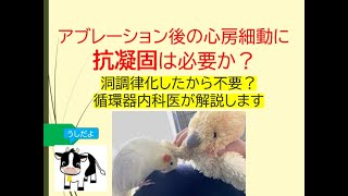 アブレーション後の心房細動に抗凝固は必要か洞調律化したら不要になるか循環器医が解説します [upl. by Trevlac215]