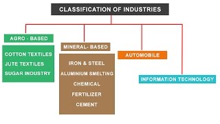 NCERT Class 10  Classification of Industries  Agro Mineral Automobile IT sector [upl. by Maudie]