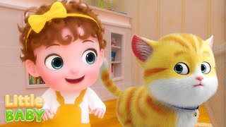 The Cat Song 😻 Meow Meow  Kids Songs amp Nursery Rhymes  Little Baby Songs [upl. by Ressler792]