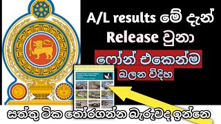 AL Results 2023  Alevel results release  2023 AL exam results  AL results  සිංහල [upl. by Alimak]