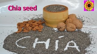 The correct way to consume chia Learn how to make Chia water Chia benefits [upl. by Niledam203]