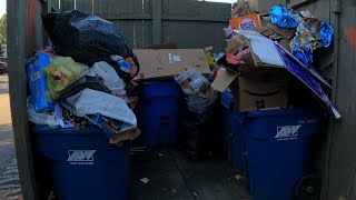 Garbage Truck Rear Loader Commercial Recycle Enclosure POV [upl. by Airuam]