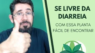 Como TRATAR a diarreia em 03 dias [upl. by Lalla]