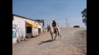 Marcelo y Aurelia El Adios Ranchero [upl. by Sakmar]