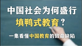 中国社会为何盛行填鸭式教育？为什么你会觉得学习很痛苦？一集看懂中国教育的致命缺陷｜学习｜自我成长｜教育｜自由学习｜哲学｜心理学｜ [upl. by Rebah691]