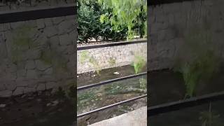 The Antelias River Not a vlog but like vlog lebanon river [upl. by Dunstan]