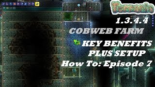 Terraria 1344 HOW TO  Build a Cobweb Farm  Important Benefits  Setup  Episode 7 [upl. by Gillmore]