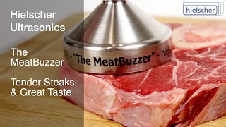 New Meat Tenderizer  The Ultrasonic MeatBuzzer by Hielscher [upl. by Maro]