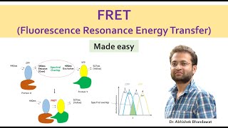 What is FRET Fluorescence Resonance Energy Transfer  förster resonance energy transfer [upl. by Dleifrag731]