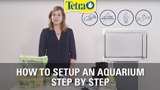 How to set up an aquarium  Fish tank setup step by step [upl. by Ehrsam]